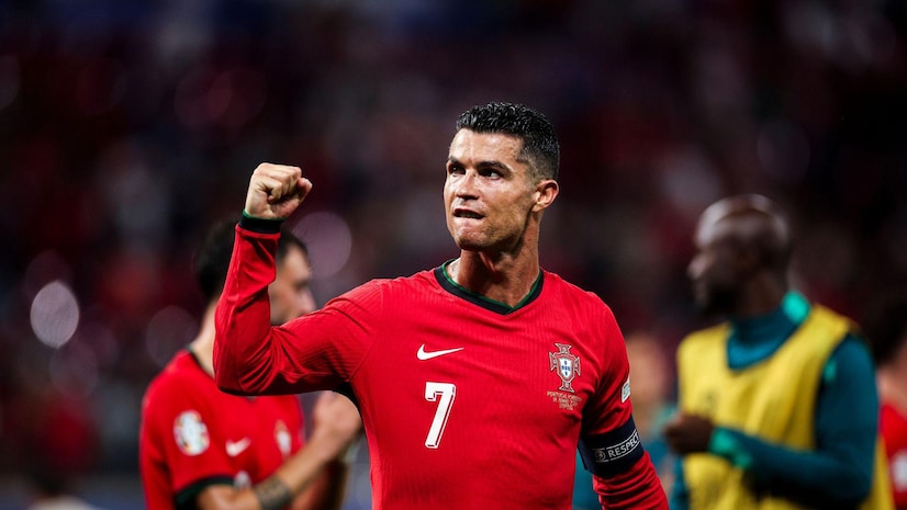 增添亮点 增添亮点